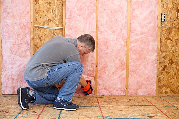Insulation Repair Services in Lockwood, MT